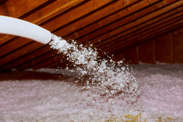 Best Spray Foam Insulation in Velva, ND