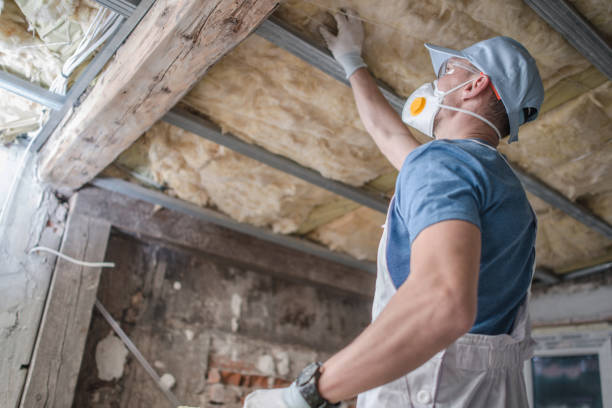Best Insulation for Specific Applications in Velva, ND